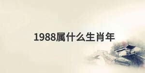 1988属什么